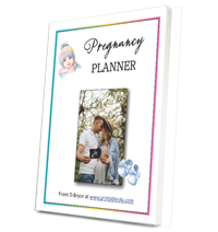 Pregnancy Planner PDF cover